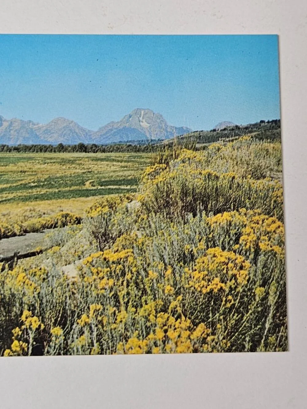 Grand Teton Range Highway 287 Lander Wyoming Postcard